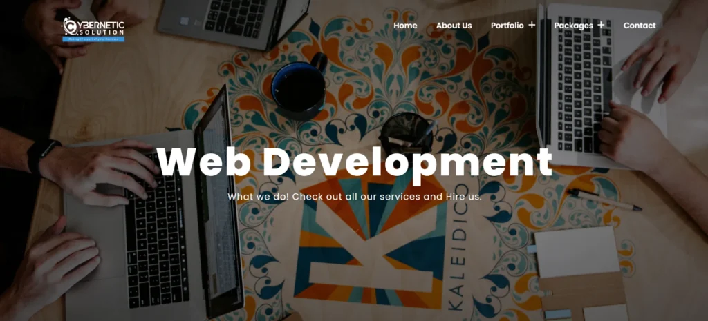 CyberNetics Solutions - Web Development Company in Lucknow