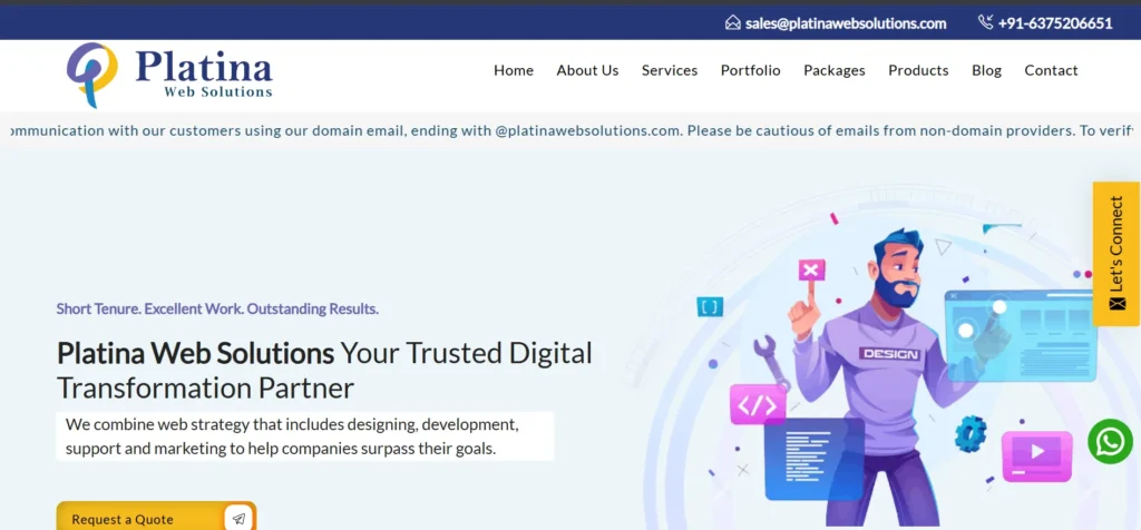 Platina Web Solutions - Web Development Company in Jaipur