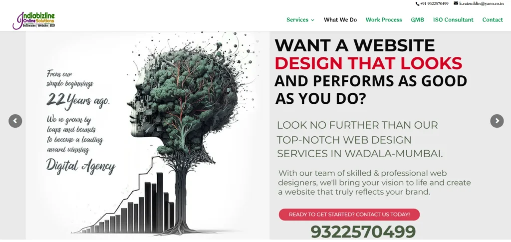 Web Development Company In Mumbai - The Indiabizline Web Solutions