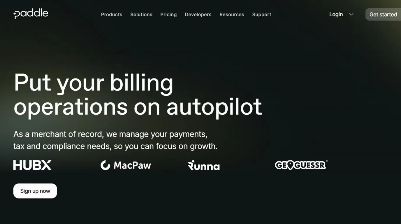 paddle - stripe alternatives