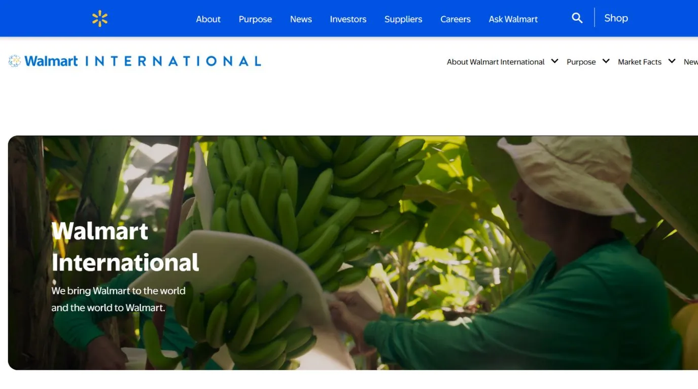 walmart - American companies in India