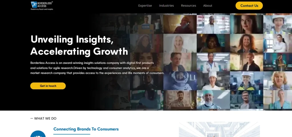 Market Research Companies in India - Borderless Access