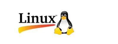 Which operating system is optimized for web apps​